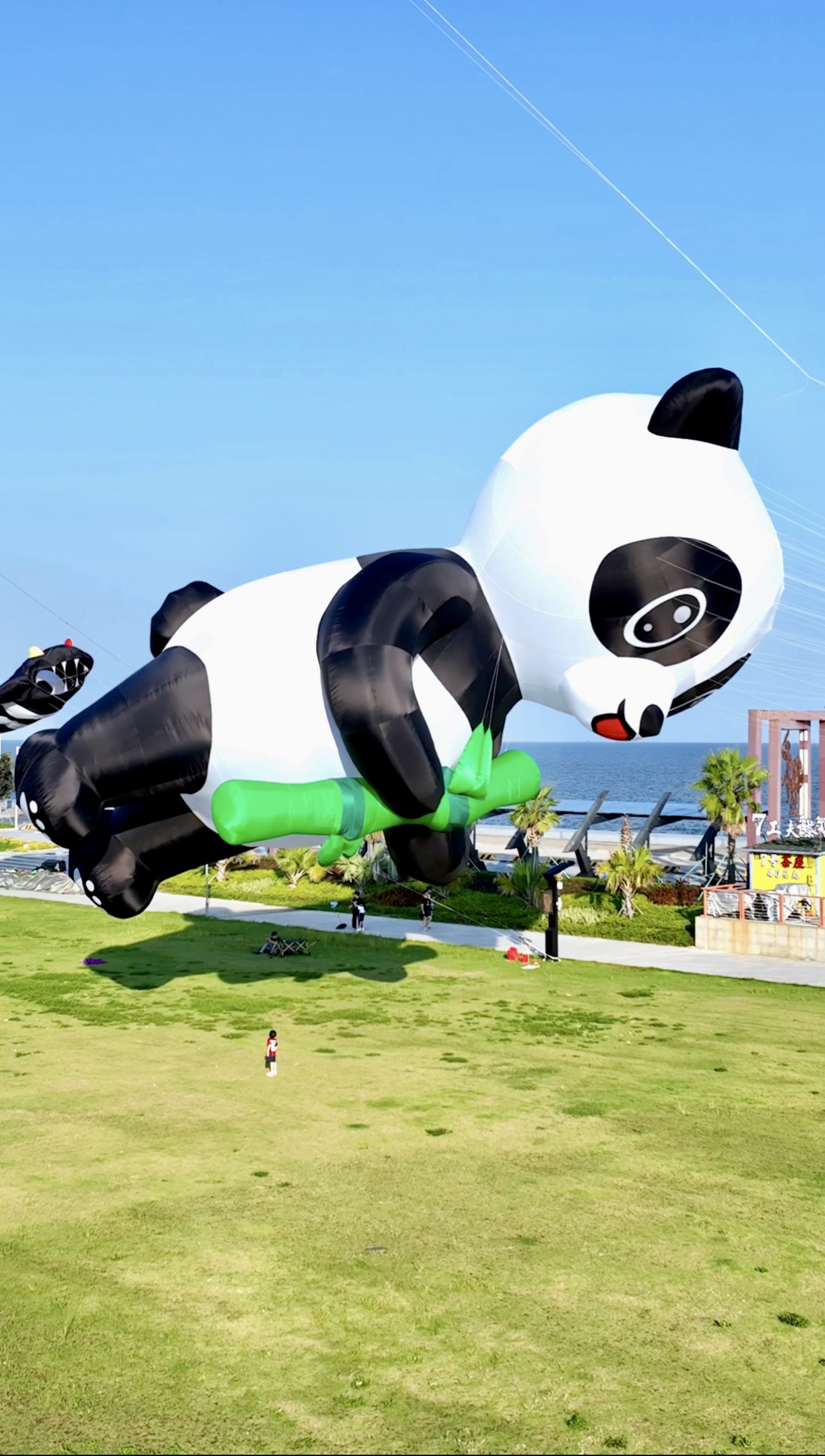 渭南市宣传风筝定制风筝放飞活动策划 - 厂家