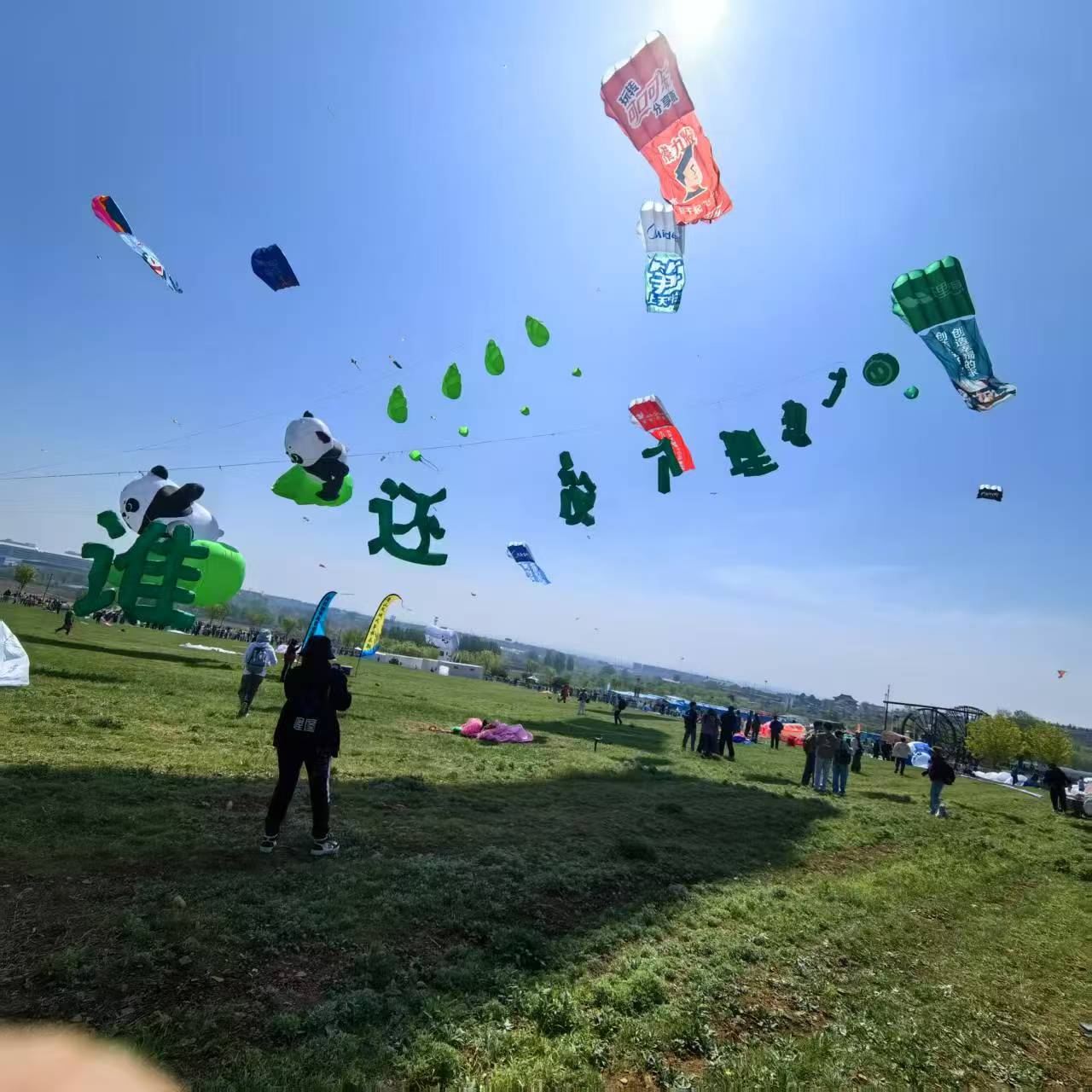渭南市品牌风筝定制风筝定制 - 哪里好